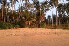 Beachland – Chaweng – Koh Samui