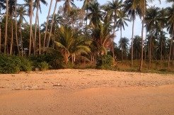 Beachland – Chaweng – Koh Samui